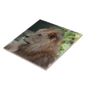 Carreau Lion 035 (Côté)