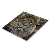 Carreau Lion_2015_0501 (Côté)