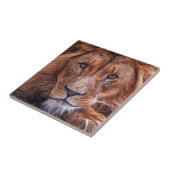 Carreau Lion africain (Côté)