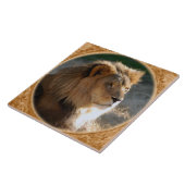 Carreau Lion africain 6775e11x11fram-b (Côté)