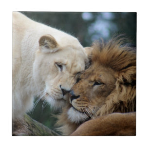 Carreau Lion et Lion