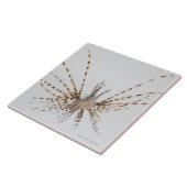 Carreau Lionfish rouge (volitans de Pterois) (Côté)