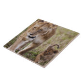 Carreau Lionne avec son petit (Côté)