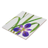 Carreau L'iris botanique fleurit le jardin floral de (Côté)