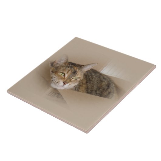 Carreau Lis #1 (Côté)