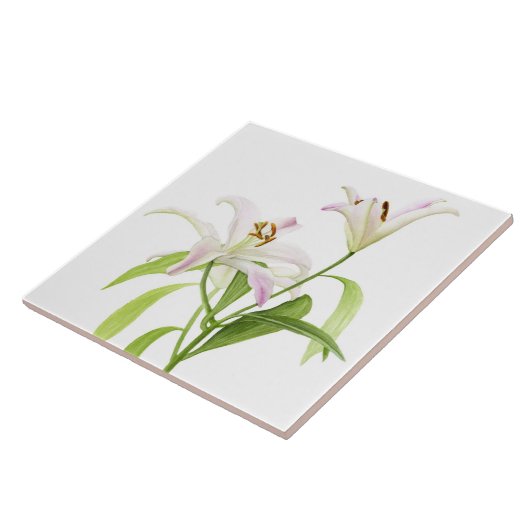 Carreau Lis d'astronome (Côté)