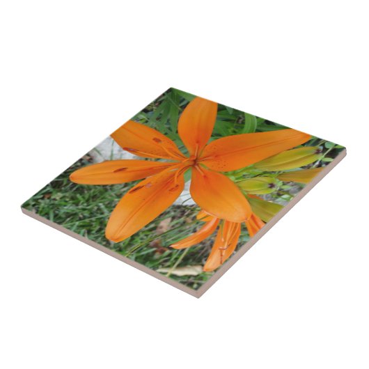 Carreau Lis orange de Starburst (Côté)