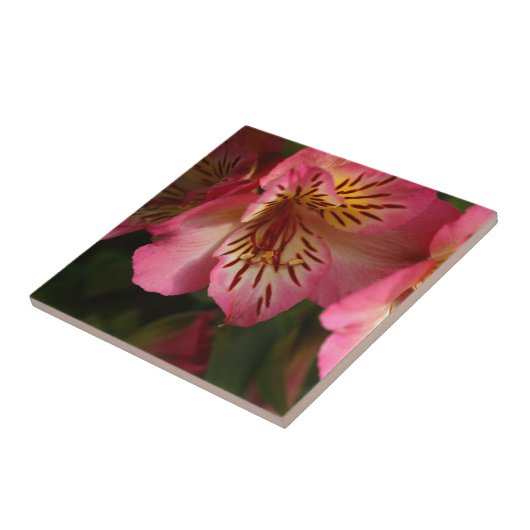 Carreau Lis péruvien (aurea d'Alstroemeria) (Côté)