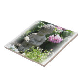 Carreau Little Boy et statue de jardin d'oiseau (Côté)