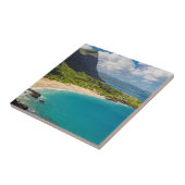 Carreau Littoral de la plage de Makapuu (Côté)