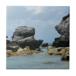 Carreau Littoral des Bermudes