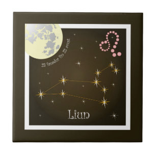 Carreau Liun 23 fanadur fin2