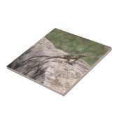 Carreau Lizard (Côté)