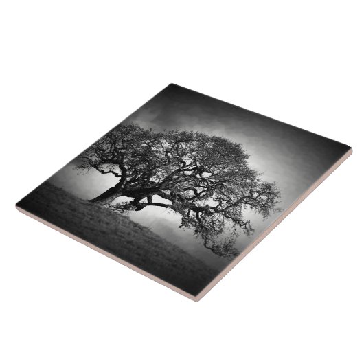 CARREAU LOAN OAK TREE (Côté)