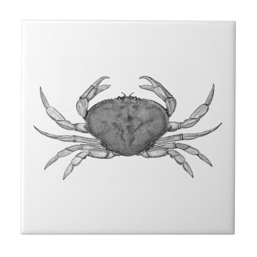 Carreau Logo de crabe de Dungeness (schéma) (Devant)