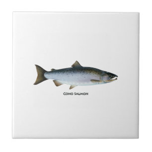 Carreau Logo du Saumon Coho (intitulé)