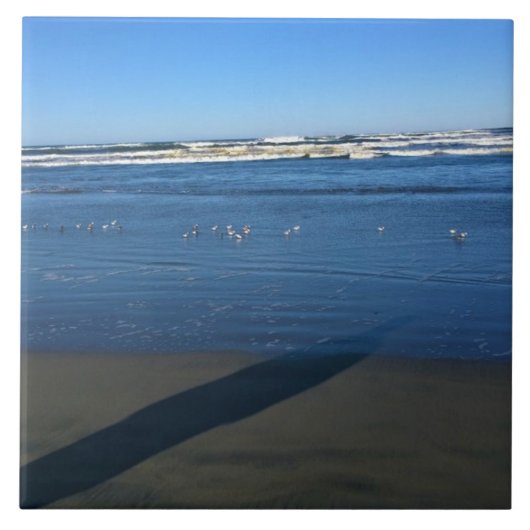Carreau Long Beach, Washington (Devant)
