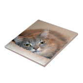 Carreau Long chapeau bleu russe par Shirley Taylor (Côté)