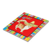 Carreau Long chiwawa de manteau de fiesta (Côté)