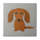 Carreau Long Haired Dachshund | Doxie mignon chien de dess (Devant)