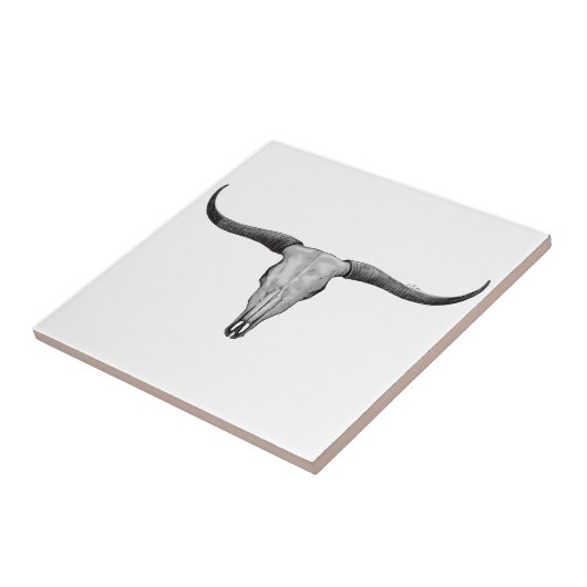 Carreau Longhorn Skull (Côté)