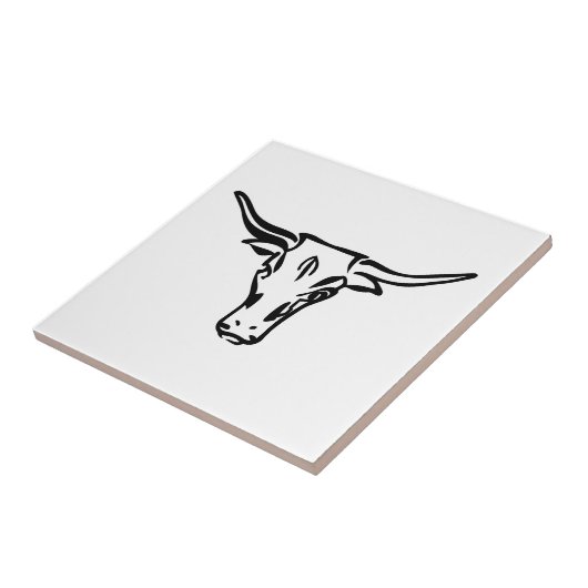 Carreau Longhorns (Côté)