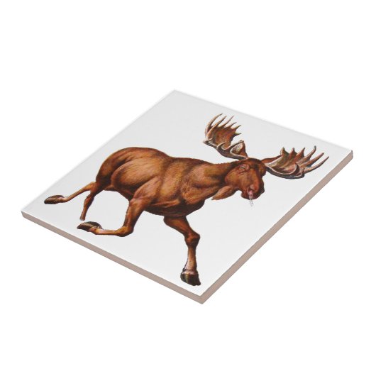 CARREAU L'ORIGNAL EST LÂCHE (Côté)