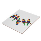 Carreau Lorikee arc-en-ciel australien (Côté)