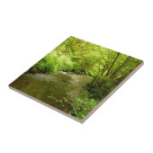 Carreau Lost Man Creek I au Redwood National Park (Côté)