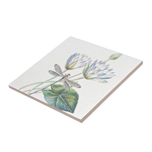 Carreau Lotus et libellules (Côté)