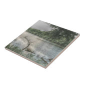 Carreau L'Ouachita (Côté)