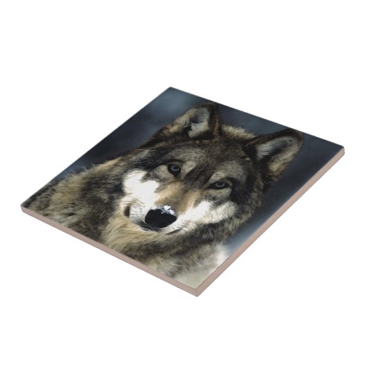 Carreau Loup (Côté)