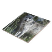 Carreau Loup dans Yellowstone (Côté)