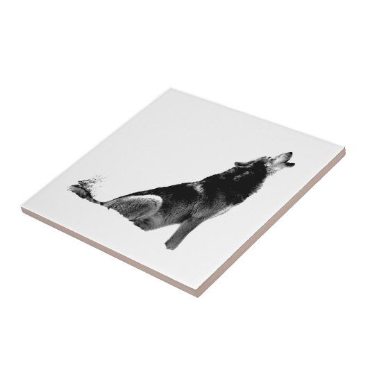 Carreau Loup de Howling blanc noir (Côté)