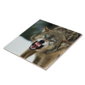 Carreau Loup gris de grondement (Côté)