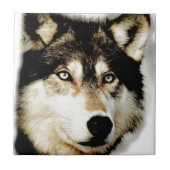 Carreau Loup motivationnel unique (Devant)