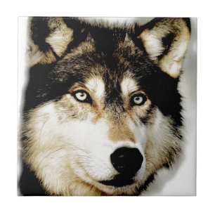 Carreau Loup motivationnel unique