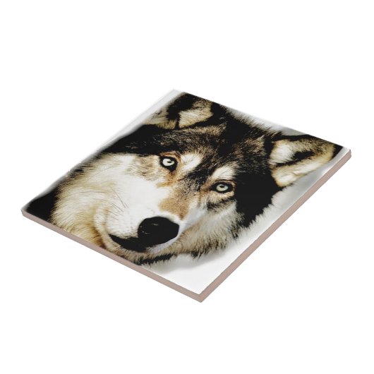 Carreau Loup motivationnel unique (Côté)