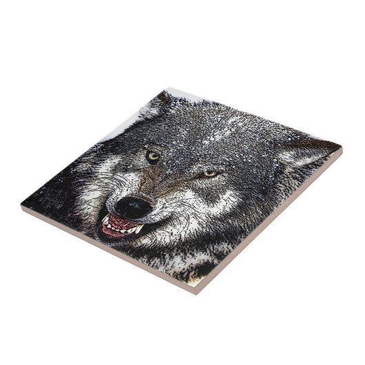 Carreau Loup sauvage (Côté)