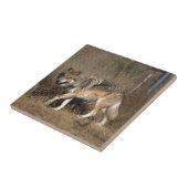 CARREAU LOUPS (Côté)