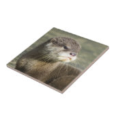 Carreau Loutre mignonne de bébé (Côté)