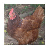 Carreau Lucy - La Tête Rouge ! (Devant)