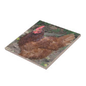 Carreau Lucy - La Tête Rouge ! (Côté)