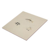 Carreau Luigi Balugani - Trois poissons non identifiés (Côté)