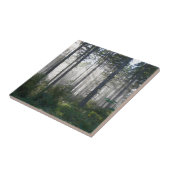 Carreau Lumière du soleil traversant une forêt brumeuse (Côté)