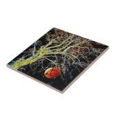 Carreau Lune rouge se lève (Côté)