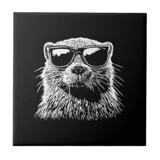 Carreau Lunettes de soleil de castor