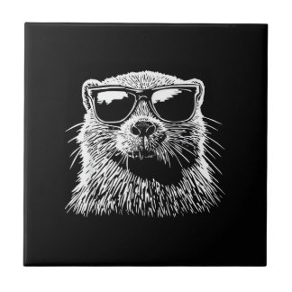 Carreau Lunettes de soleil de castor