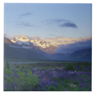 Carreau Lupine et le fossé principal, Arthur's Pass, Sout