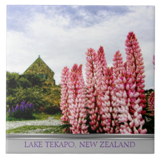 Carreau Lupins roses @ Lac Tekapo Nouvelle-Zélande